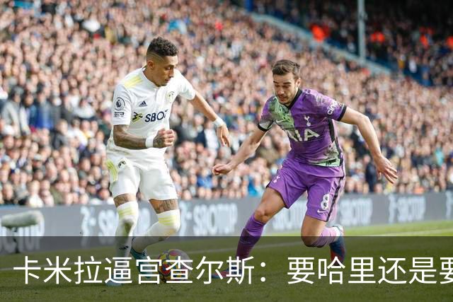 卡米拉"逼宫"查尔斯：要哈里还是要我